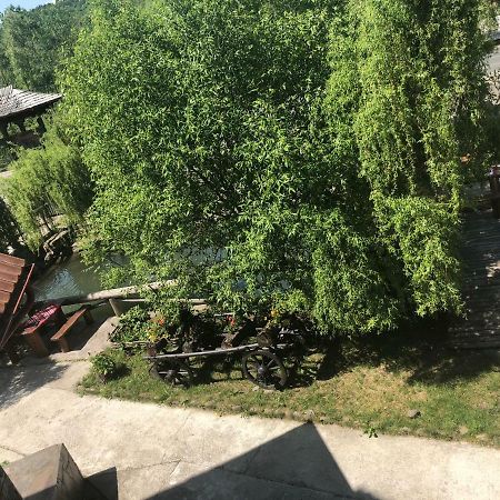 Pensiune Pastravarie La Pintea Haiducu Deseşti Екстериор снимка