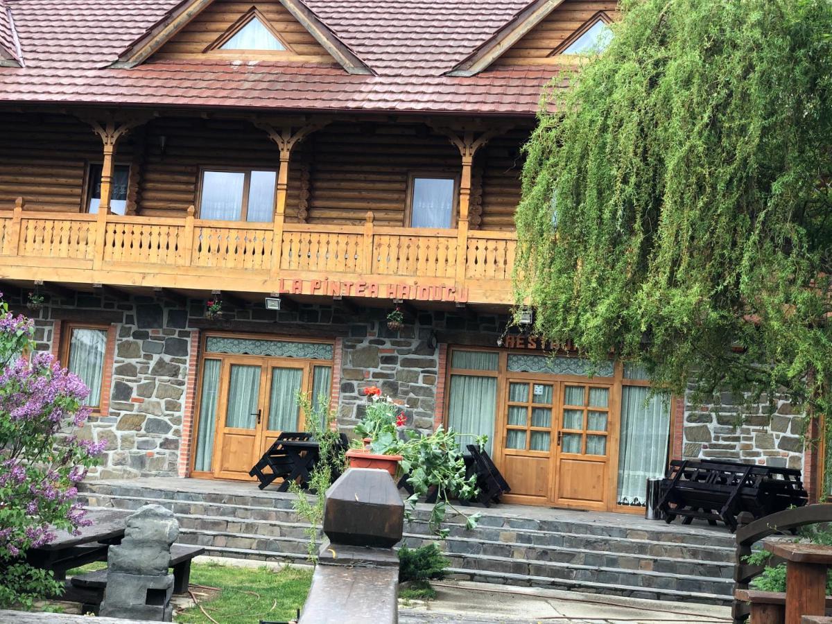 Pensiune Pastravarie La Pintea Haiducu Deseşti Екстериор снимка