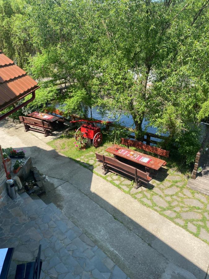 Pensiune Pastravarie La Pintea Haiducu Deseşti Екстериор снимка